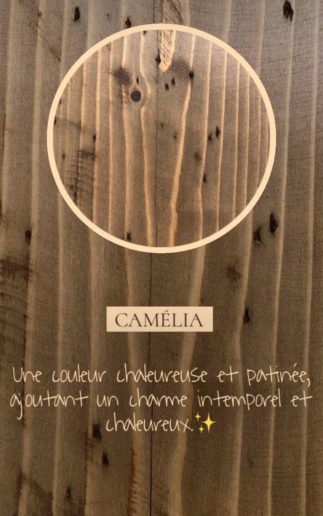 Portes coulissante en Bois massif (Epervier) - TimberSteel Atelier